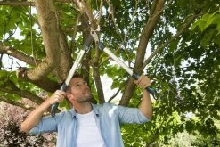 Gardena Takkenschaar EnergyCut 750A 13 Gardena Takkenschaar EnergyCut 750A -Tuinonderhouds Winkel image 627