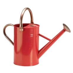 Garden Lights Goura Zwart