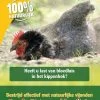 ECOstyle Roofmijt Tegen Bloedluis Bij Gevogelte 10.000 St. -Tuinonderhouds Winkel image 730