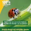 ECOstyle Larven Lieveheersbeestje Tegen Bladluizen 100 St. 1 ECOstyle Larven Lieveheersbeestje Tegen Bladluizen 100 St. -Tuinonderhouds Winkel image 747