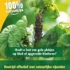 ECOstyle Gaasvlieg Tegen Bladluis 500 St. -Tuinonderhouds Winkel image 753