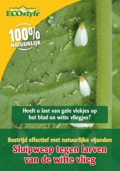 ECOstyle Sluipwesp Tegen De Larven Van De Witte Vlieg 500 St.