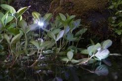 Heissner Smart Light Spot 3W RGB Metaal 7 Heissner Smart Light Spot 3W RGB Metaal -Tuinonderhouds Winkel image 797