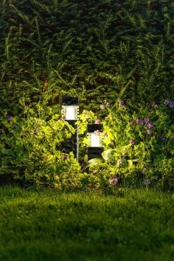 Garden Lights Kolossos -Tuinonderhouds Winkel image 854