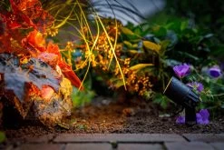 Garden Lights Neso -Tuinonderhouds Winkel image 880
