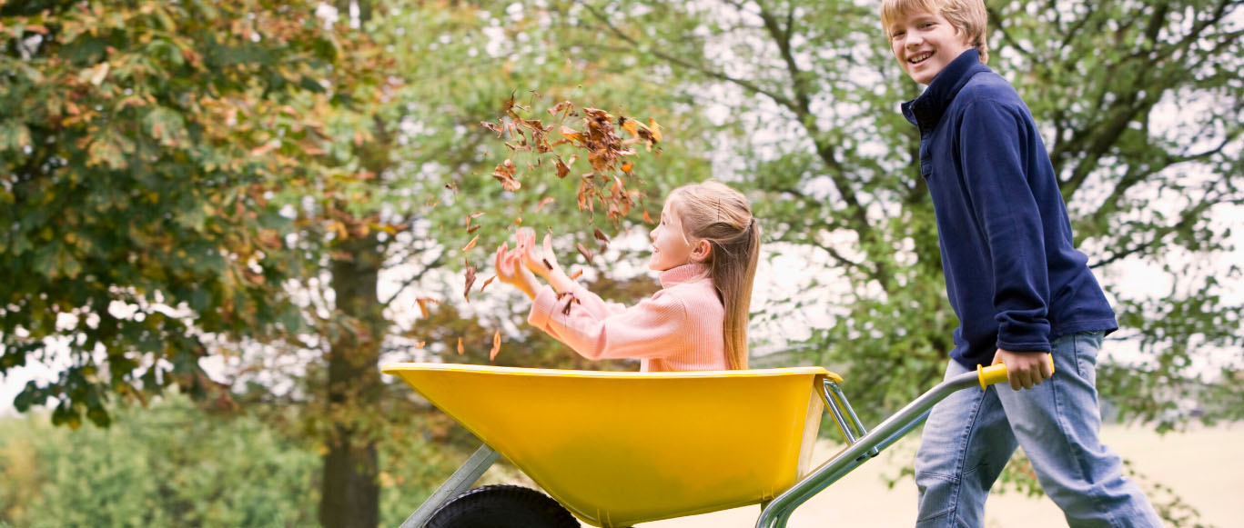 Tuinonderhouds Winkel -Tuinonderhouds Winkel fghfgh